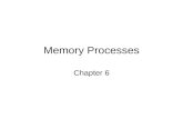 Memory Processes