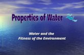 Water and the  Fitness of the Environment