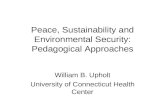 Peace, Sustainability and Environmental Security: Pedagogical Approaches