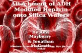 Attachment of ADH Modified Heparin onto Silica Wafers