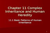 Chapter 11 Complex Inheritance and Human Heredity