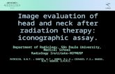 Image evaluation of head and neck after radiation therapy: iconographic assay.