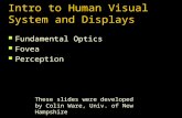 Intro to Human Visual System and Displays