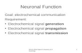 Neuronal Function