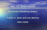 ARCTIC SYNTHESIS Ecosystem Modeling Status Yvette H. Spitz and L é o Berline OSU-COAS
