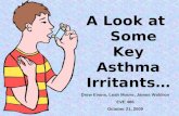 A Look at    Some Key Asthma Irritants…
