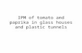 IPM of tomato and paprika in glass houses and plastic tunnels