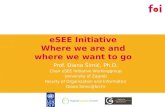 eSEE Initiative Where we are and where we want to go