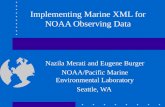 Implementing Marine XML for NOAA Observing Data