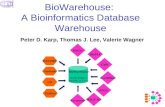 BioWarehouse:  A Bioinformatics Database Warehouse
