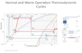 Normal and Warm Operation Thermodynamic Cycles