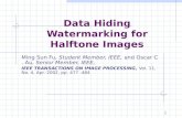 Data Hiding Watermarking for Halftone Images