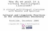 How do we work in a virtual multilingual classroom?