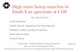 High mass bump searches in  Drell-Yan spectrum at CDF