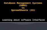 Database Management Systems  (DBMS)  vs SpreadSheets (SS)