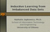 Inductive Learning from Imbalanced Data Sets