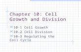 Chapter 10: Cell Growth and Division