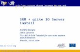 SRM + gLite IO Server  install