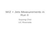 W/Z + Jets Measurements in Run II