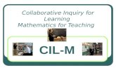 Collaborative Inquiry for Learning  Mathematics for Teaching