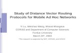 Study of Distance Vector Routing Protocols for Mobile Ad Hoc Networks