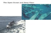 The Open Ocean and Deep Floor