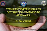 TECNICAS Y EXPERIENCIAS EN DESTRUCCION Y MANEJO DE ARSENALES: EL SALVADOR