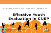 Effective Youth Evaluation in CNEP