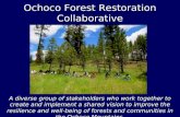 Ochoco Forest Restoration Collaborative