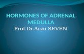 HORMONES OF ADRENAL MEDULLA