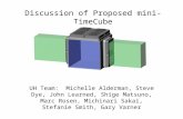 Discussion of Proposed mini-TimeCube