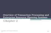 Overview of Transaction Processing and Enterprise Resource Planning Systems