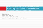 The Impact of a Professional Nursing Practice Environment in the School Setting