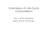 Estimation of Life-Cycle Consumption