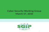 Cyber Security Working Group March 17, 2010