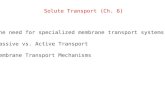 Solute Transport (Ch. 6)