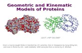 Geometric and Kinematic  Models of Proteins