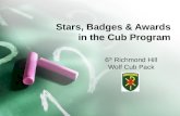 Stars, Badges & Awards in the Cub Program