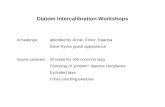 Diatom Intercalibration Workshops
