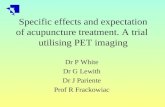 Specific effects and expectation of acupuncture treatment. A trial  utilising PET imaging