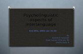 Psycholinguistic aspects of  interlanguage