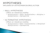 HYPOTHESES INFLUENCE OF ANTAGONISM ON DRUG ACTION