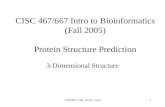 CISC 467/667 Intro to Bioinformatics (Fall 2005) Protein Structure Prediction