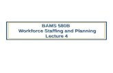 BAMS 580B   Workforce Staffing and Planning Lecture 4