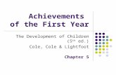 Achievements  of the First Year