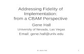 Addressing Fidelity of Implementation: from a CBAM Perspective