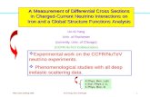 Experimental work on the CCFR/NuTeV      neutrino experiments.