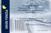 Workshop about  “Security of energy supply for electricity generation” IEA&NEA