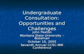 Undergraduate Consultation: Opportunities and Challenges