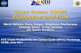 Open Ocean CDOM Production and Flux
